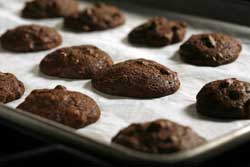 Chocolate-Pecan Cookies