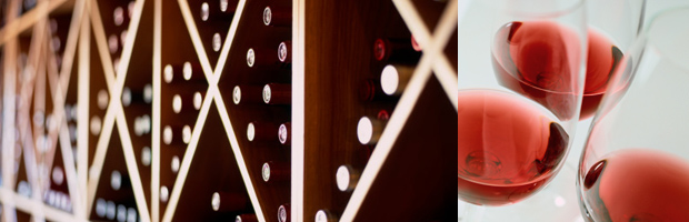 Understanding Wine