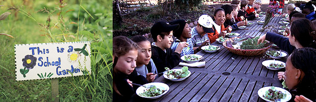 The Edible Schoolyard Project