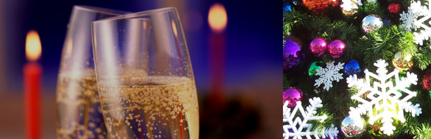 Wines for the Holiday Dinner