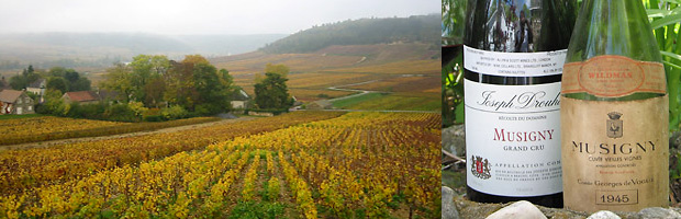 The Magical 2005 Burgundy Vintage