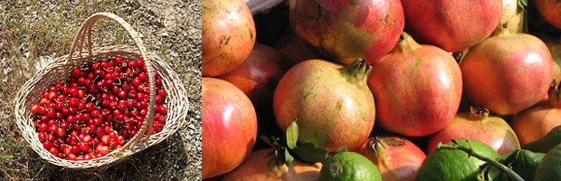 A Visit to an Italian Farmers' Market