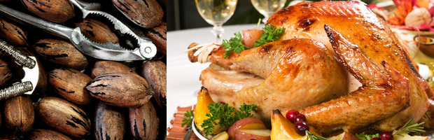 I Think Turkeys Are Supposed to Look Like That