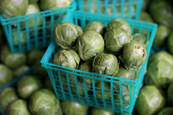 Brussels Sprouts