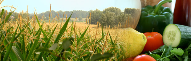 Simply Sustainable