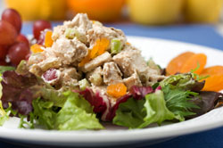 Better-Than-Chicken Turkey Salad