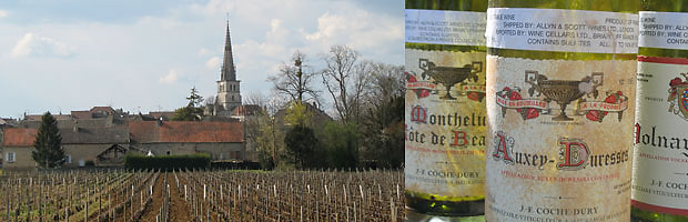 Burgundy Bargains: Village Vineyards