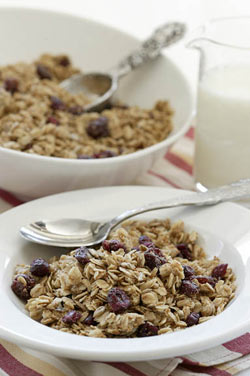 Image of Good Morning Granola, Viking