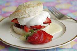 Simple Strawberry Shortcakes with Lemon Mousse and Lemon Creme