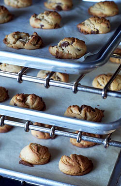 Image of Peanut Butter Chocolate Chip Cookies, Viking
