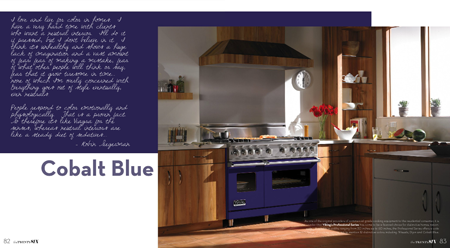 Viking Range in Cobalt Blue Finish Featured in The Twenty Six