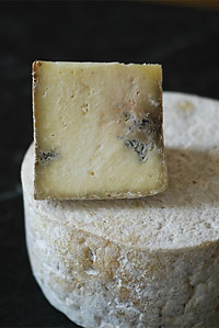 Cheese of the Month Club