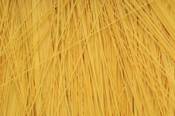 Truffled Angel Hair Pasta with Wild Mushrooms