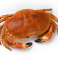 Crab