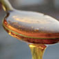 Molasses