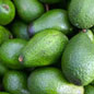 Avocados