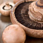 Cremini/Cremino Mushrooms