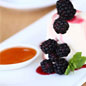 Panna Cotta 