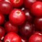 Cranberries