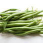 Haricot Vert