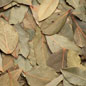 Bay Leaves