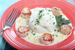 Scallops with Corn and Scallion Cream