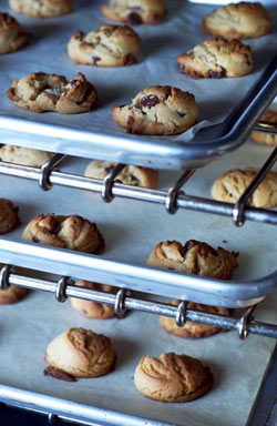 Peanut Butter Chocolate Chip Cookies